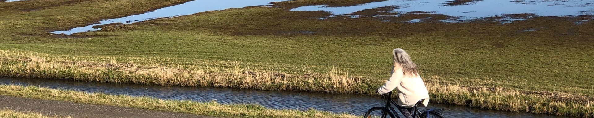 /bestanden/afbeeldingen/Water_Bodem/Header Versterken kustzone Hoorn-Amsterdam.jpg